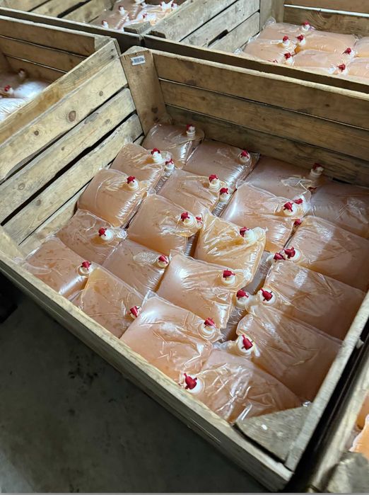 Натуральний яблучний сік у пакетах 3 л / 5 л