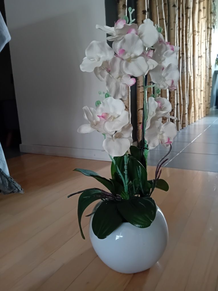 Orchidea storczyk doniczka porcelana