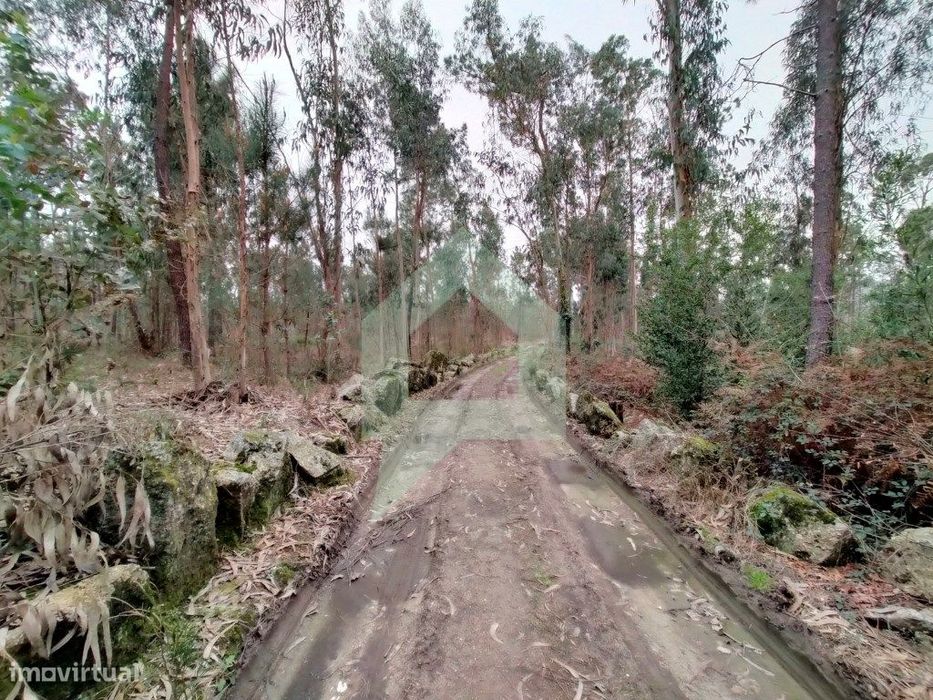 Terreno rustico em Silveiros-Barcelos