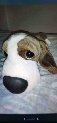 Beagle  maskotka