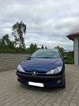 Peugeot 206 Azul
