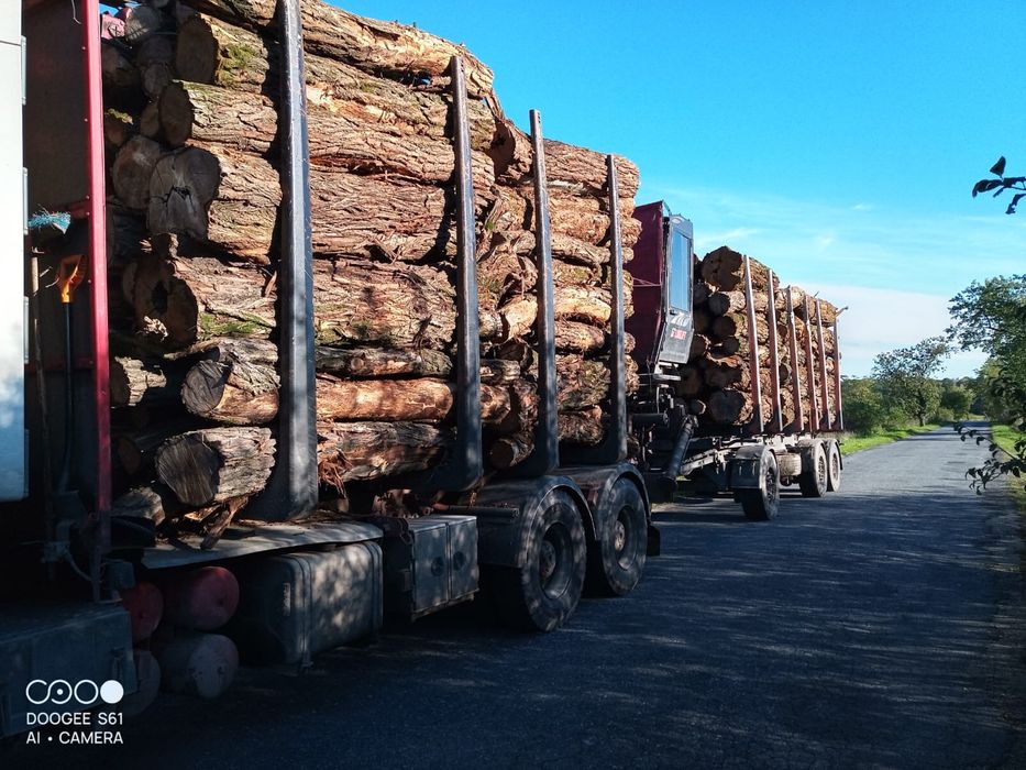 Drewno Opałowe Kominkowe Drzewo.Sosna.Brzoza.Akacja.Buk.Grab.Dąb.SUCHE