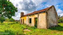 Imóvel Exclusivo | Casinha e Terrenos do Ervedal