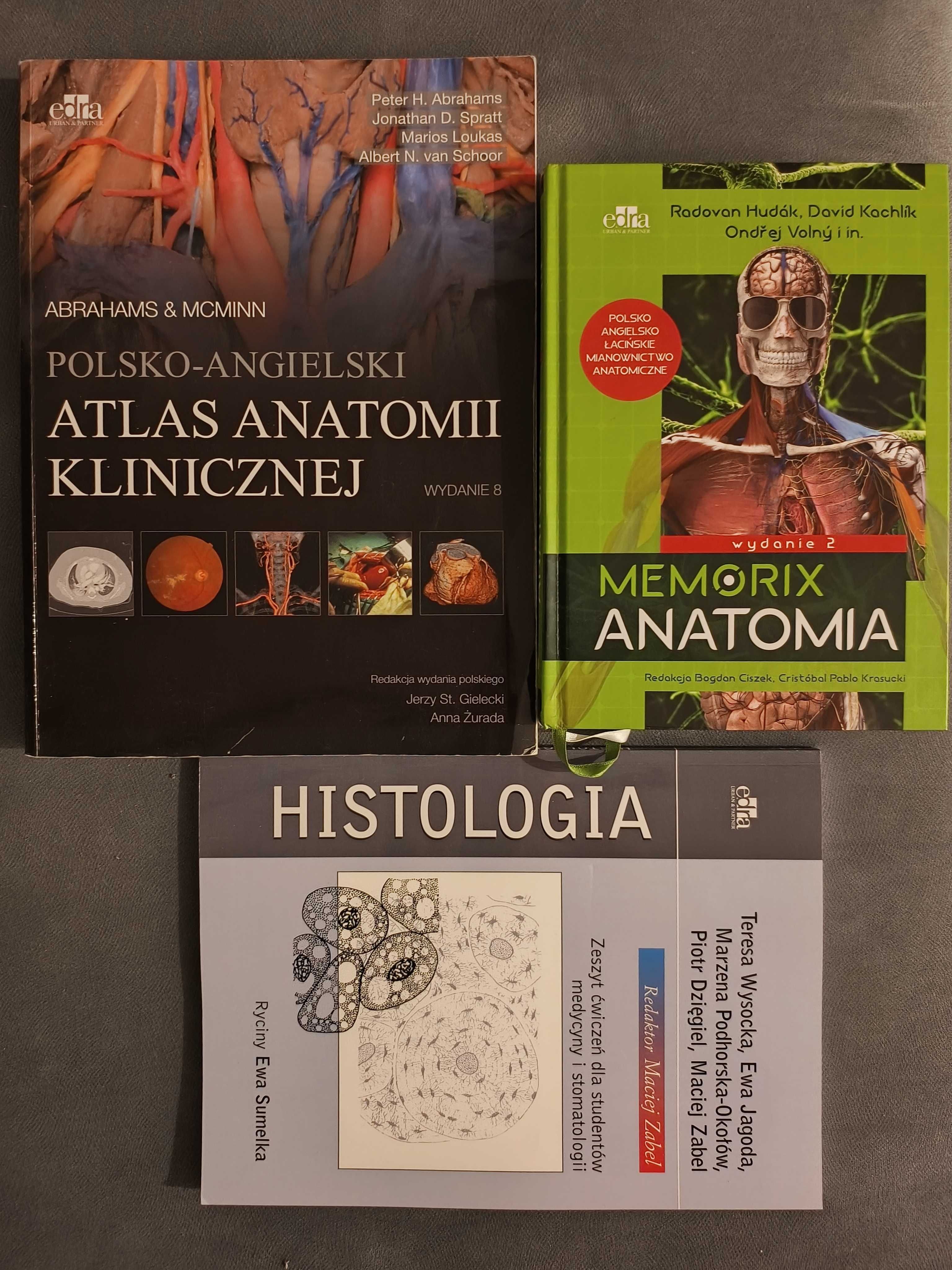 Memorix anatomia