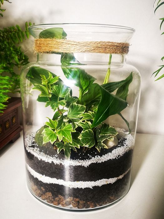 LAS W SŁOIKU - Ogród w szkle -Święta-Idealny na prezent