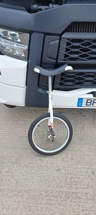 Monociclo OnlyOne 16” – Altura ajustável (para crianças e adultos)