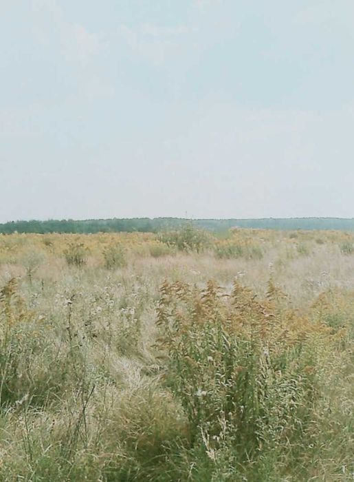 (5)  Продам земельну ділянку 6470