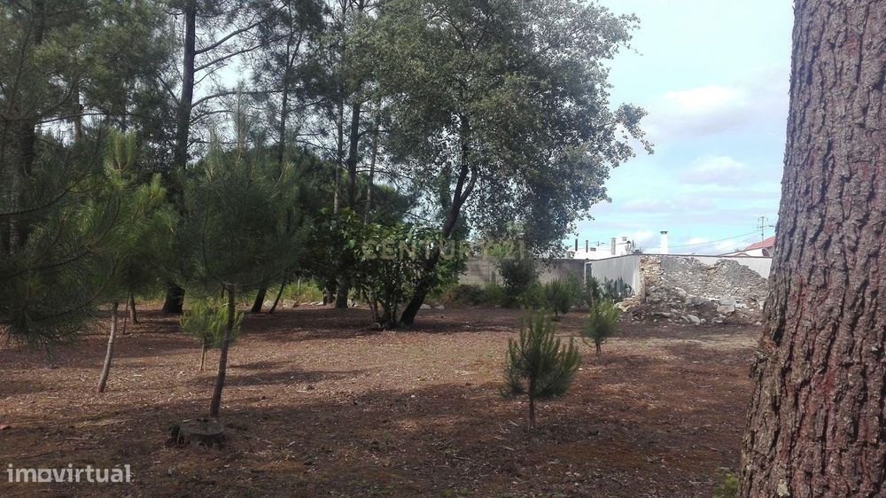 Terreno  para construção ideal para moradia unifamiliar