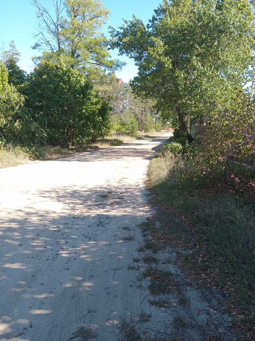 Продам будинок з ділянкою 52 сотки біля лісу с.Воропаїв