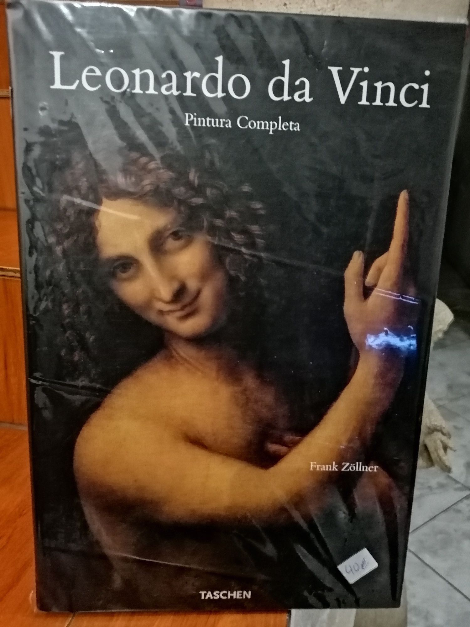 Leonardo da Vinci pintura completa