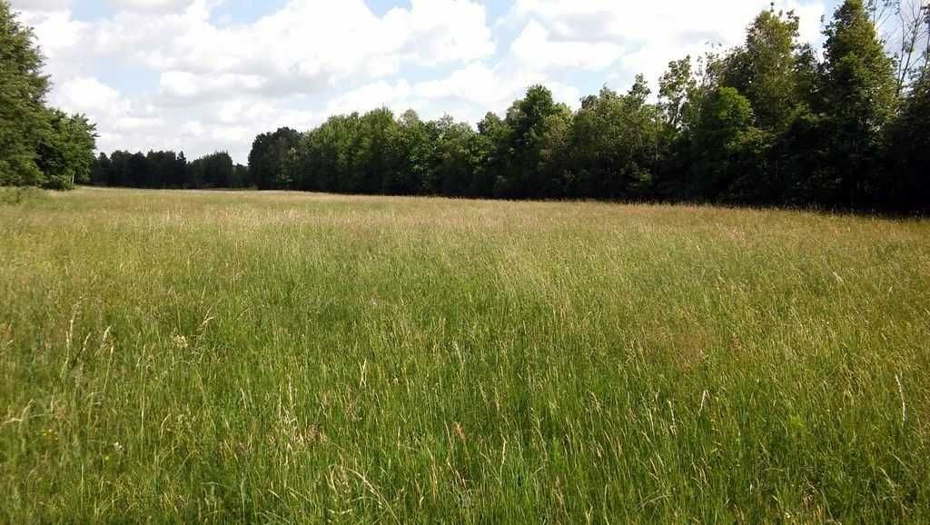 Sprzedam grunty rolne 7,60 ha w jednym kawałku