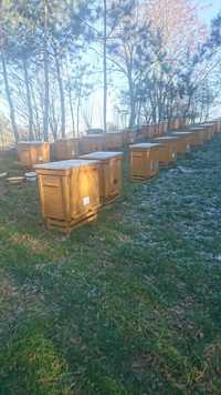 Ule z pszczołami do sprzedania - 25 szt (okolice Chełma)