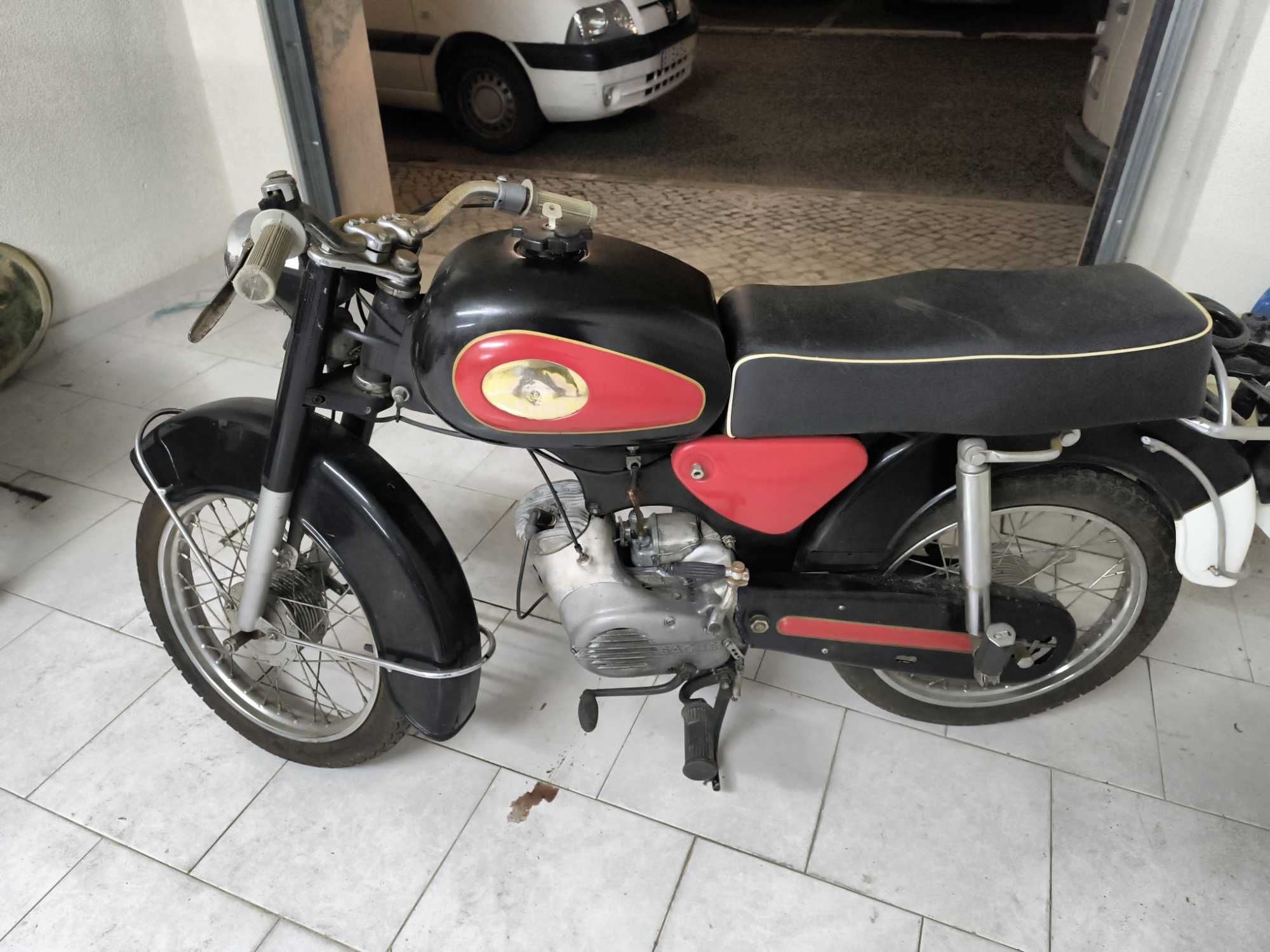 Mota clássica Sach Lebre