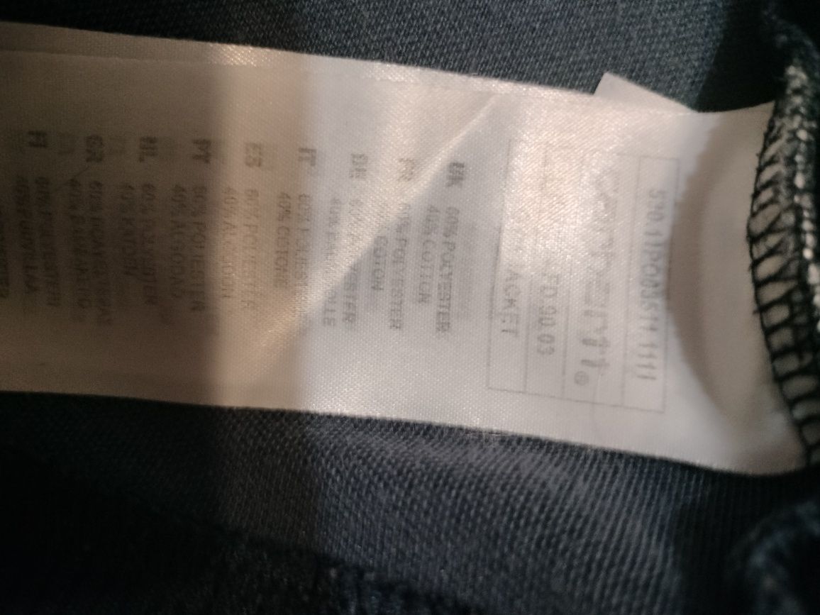 Bluza męska sportowa Carahartt
