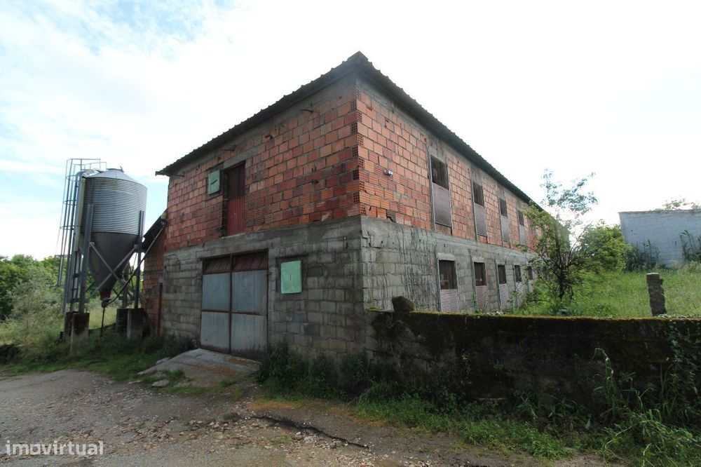 Aviário em Pleno Funcionamento