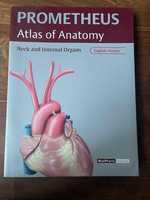 Atlas of anatomy - Neck and Internal organs (Prometheus)