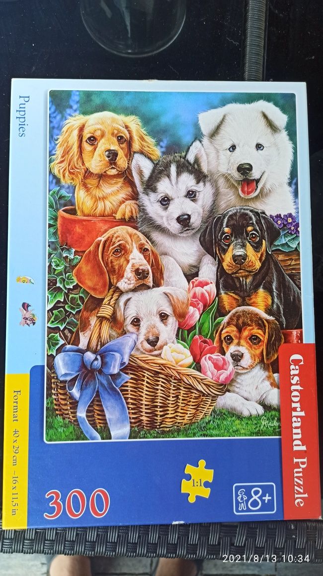 Puzzle Castorland Puppies pieski  300 i 500 zwierzęta kotki,konik