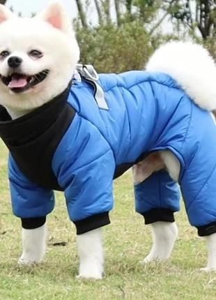 Комбінзон для собачки