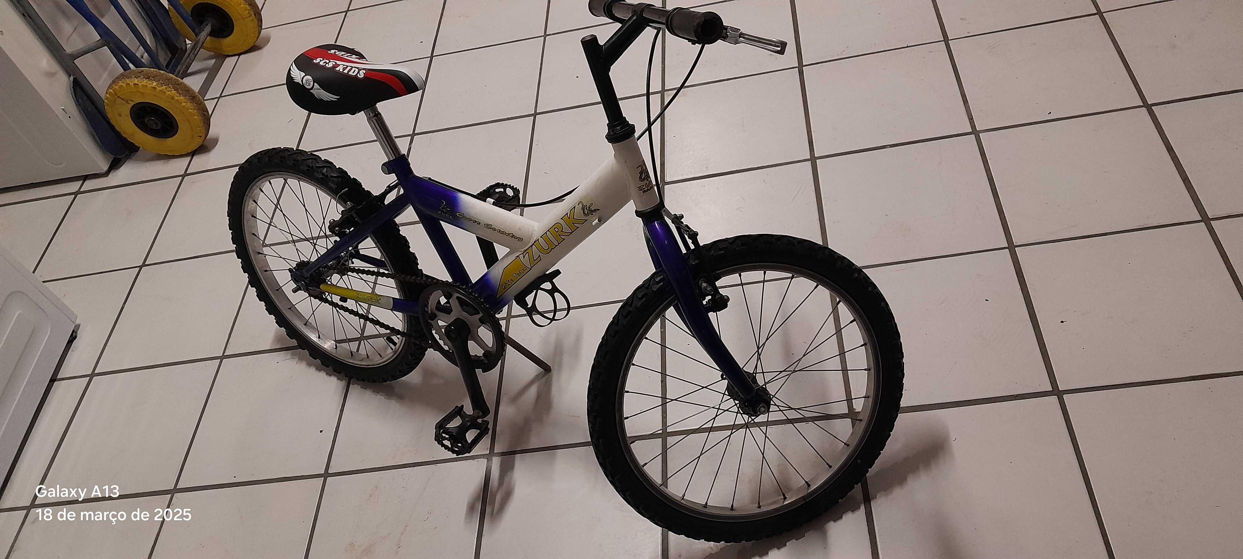 Bicicleta roda 20