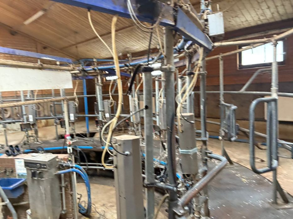 Karuzela udojowa dojarka alfa laval agri  hala udojowa