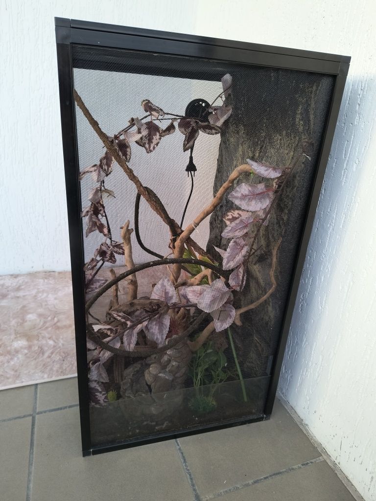 Terrarium 45x45x80 dla kameleona z wyposażeniem