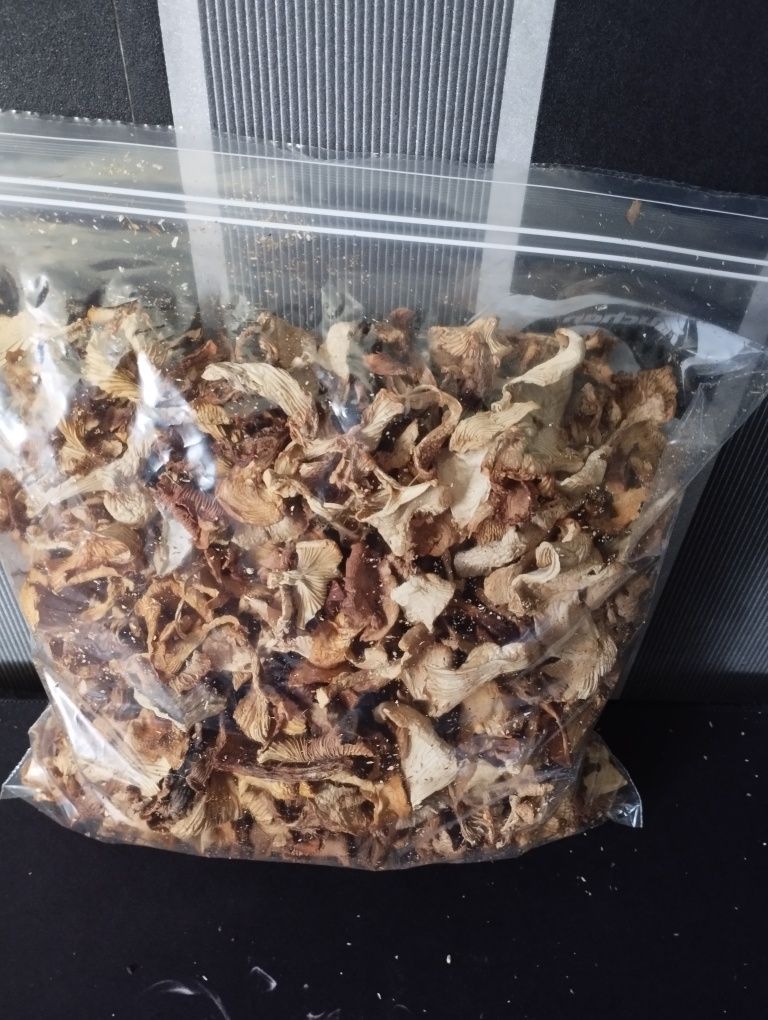 Grzyby prawdziwki i suszone ( na drzewie naturalnym)