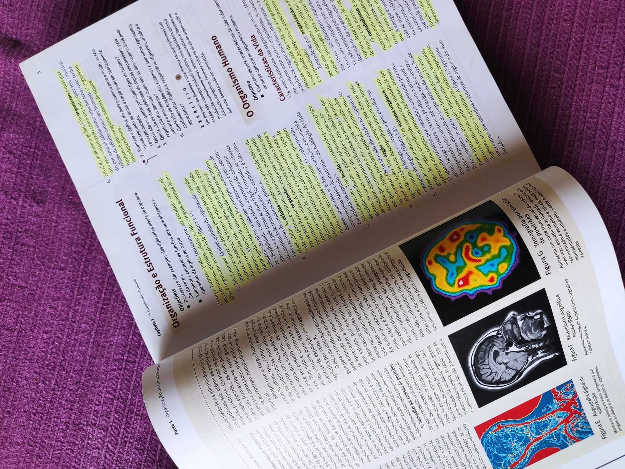 Manual Anatomia e Fisiologia + Guia de Estudos Seeley Tate 6ª Edição