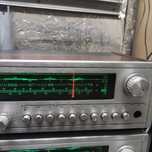 Sprzedam Elizabeth DSH 102