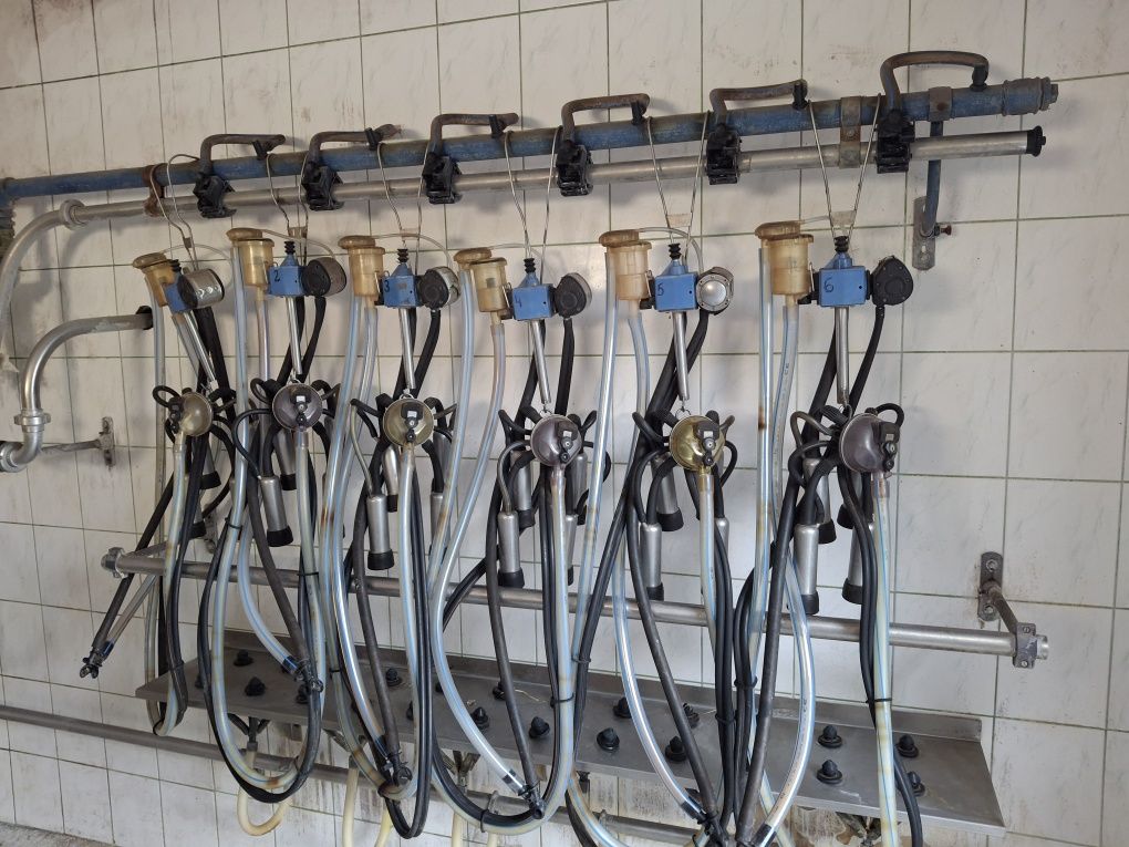 Dojarka przewodowa 6 stanowisk