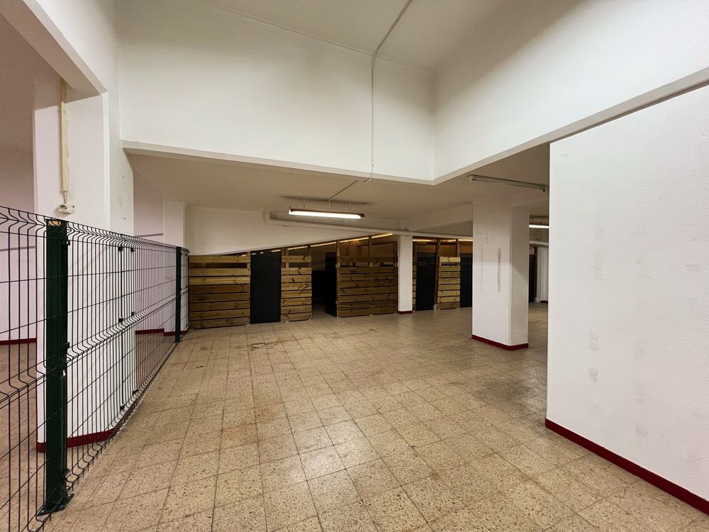 Vende-se Creche Canina em pelo crescimento | Lisboa Central