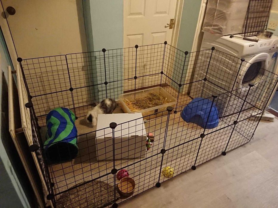 Wybieg NOWA Klatka Kojec dla KRÓLIKA Świnki Chomika PSA Modułowa DUŻA