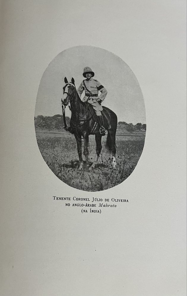 Notas e Refleções Equestres