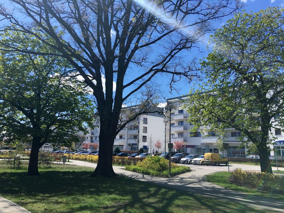 Apartament Platan