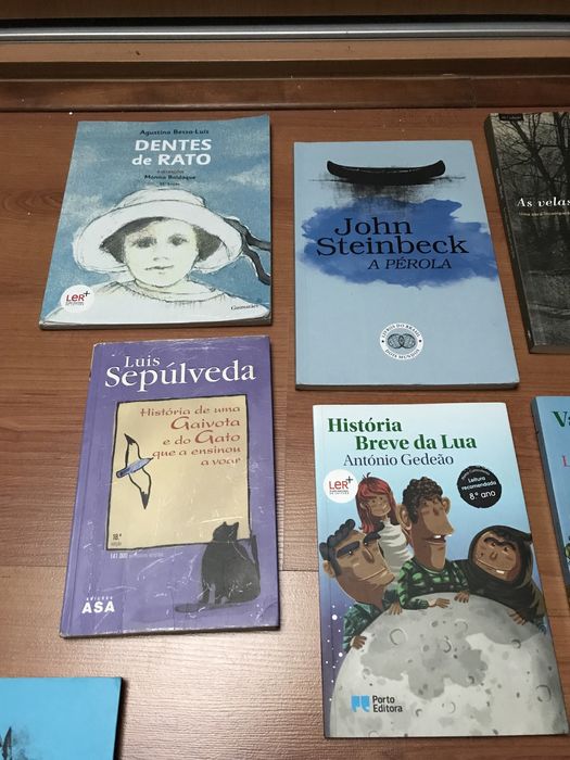Livros Plano Nacional de Leitura