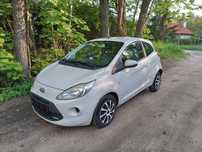 Silnik benzyna ford ka