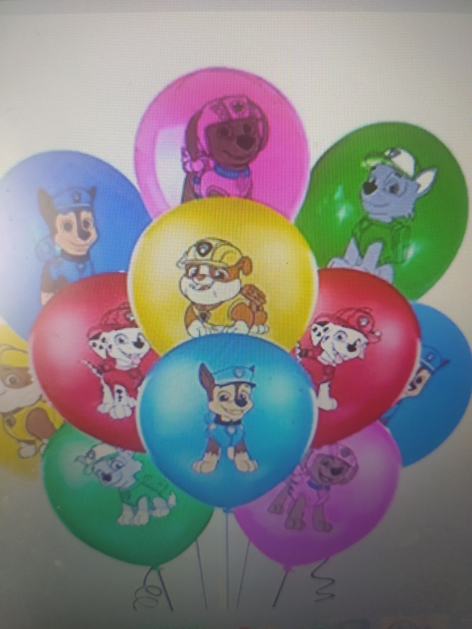 Balony psi patrol