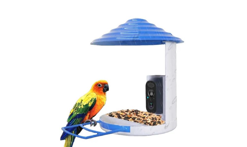 Smart Karmnik Dla Ptaków Kamera Solarna Wifi Full HD