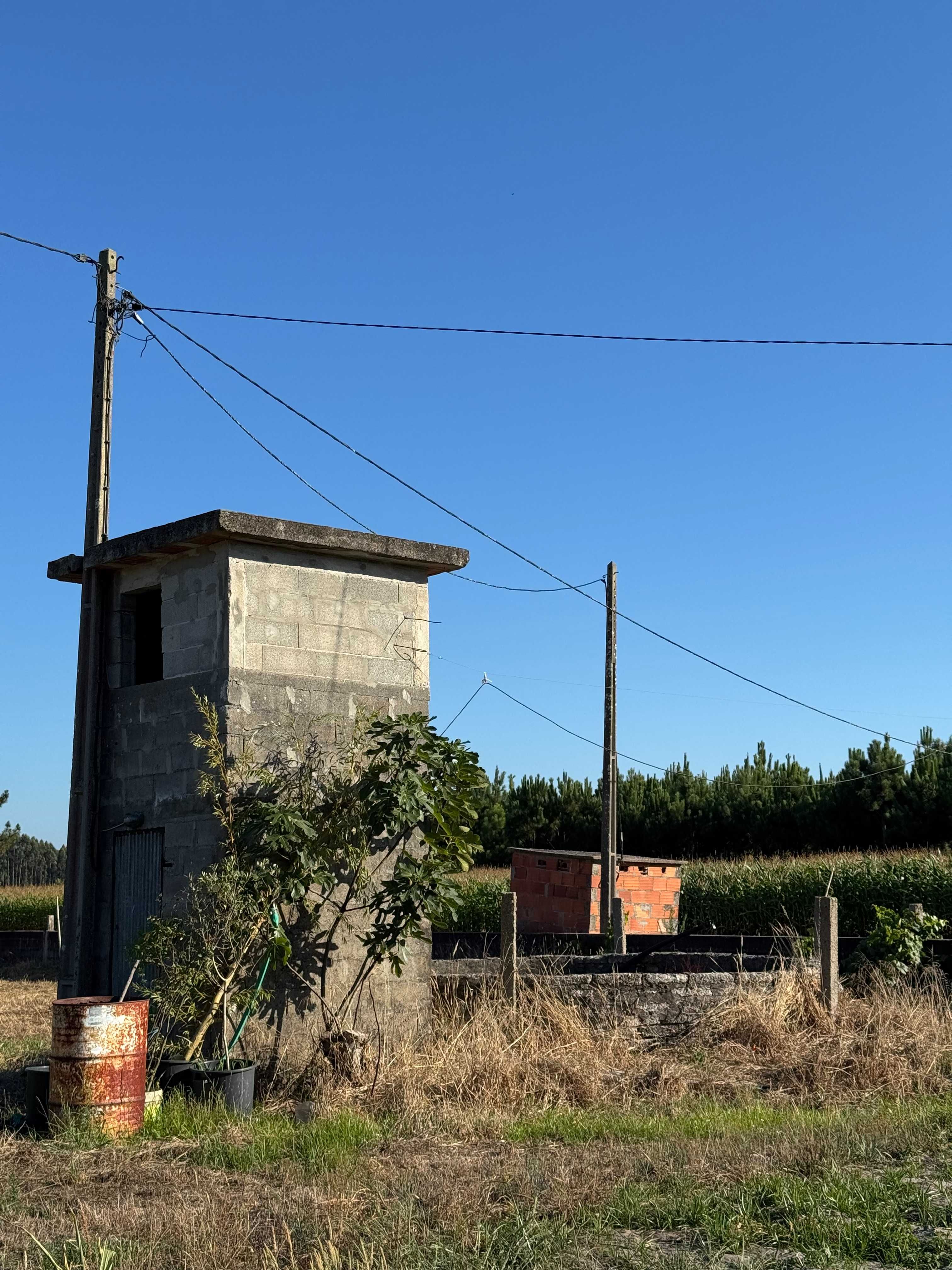 Quinta com 3 Hectares, Armazém e Copa