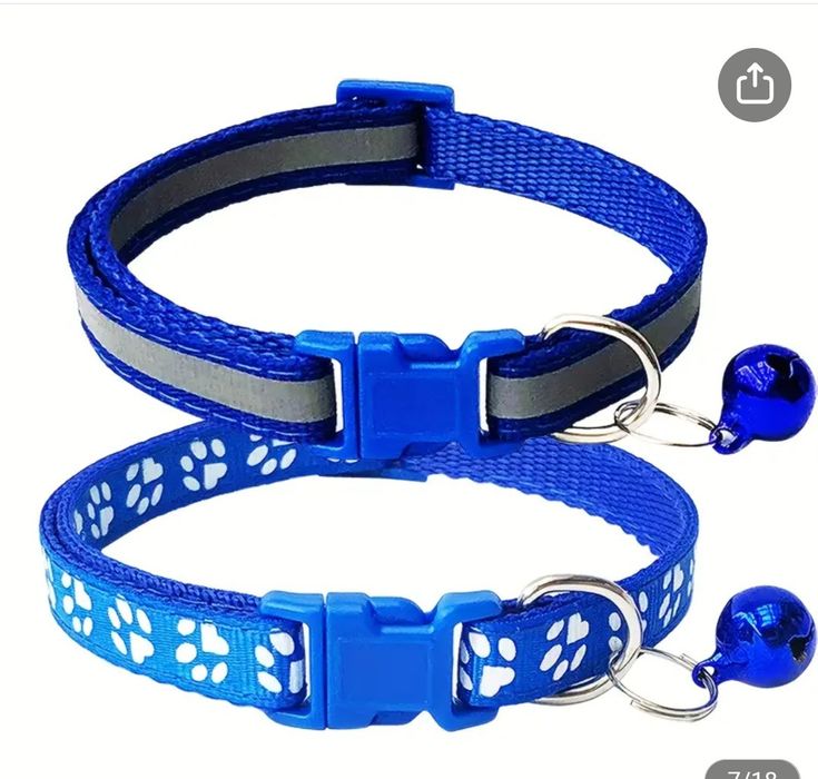 Obroża dla małego psa lub kota