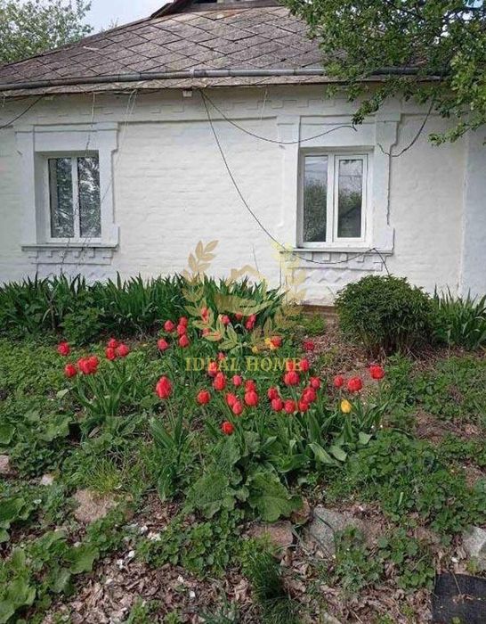 Продам будинок Київська область Білоцерківський р-н. с Медвин