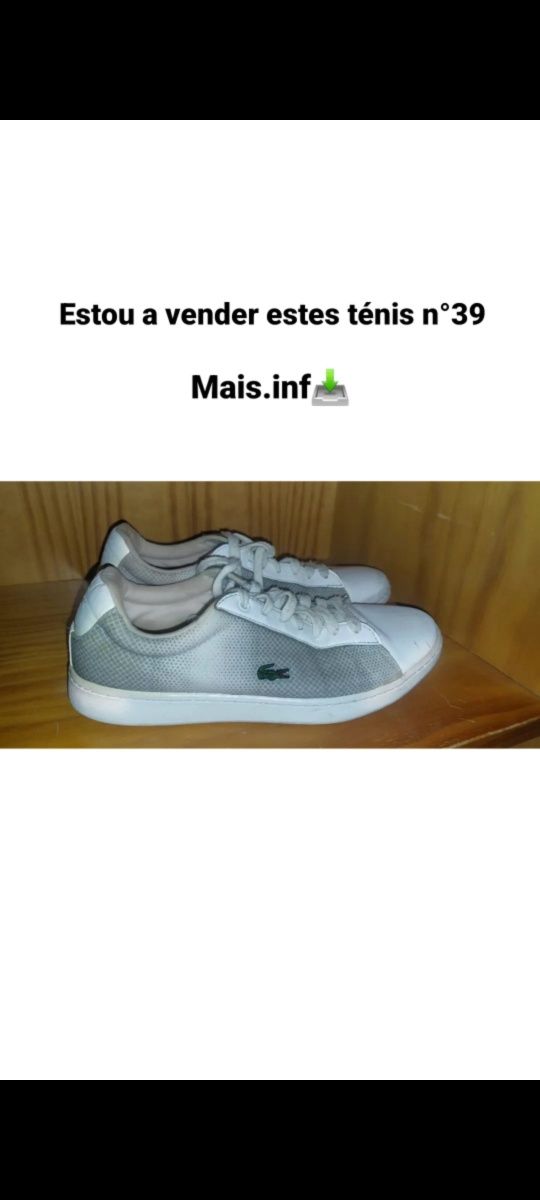 Tenis lacoste originais unisexo