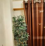 Cortinados de quaryo