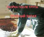 ‼️ ТРУПНЫЙ ЗАПАХ Уборка квартир после СМЕРТИ УМЕРШЕГО Озонирование