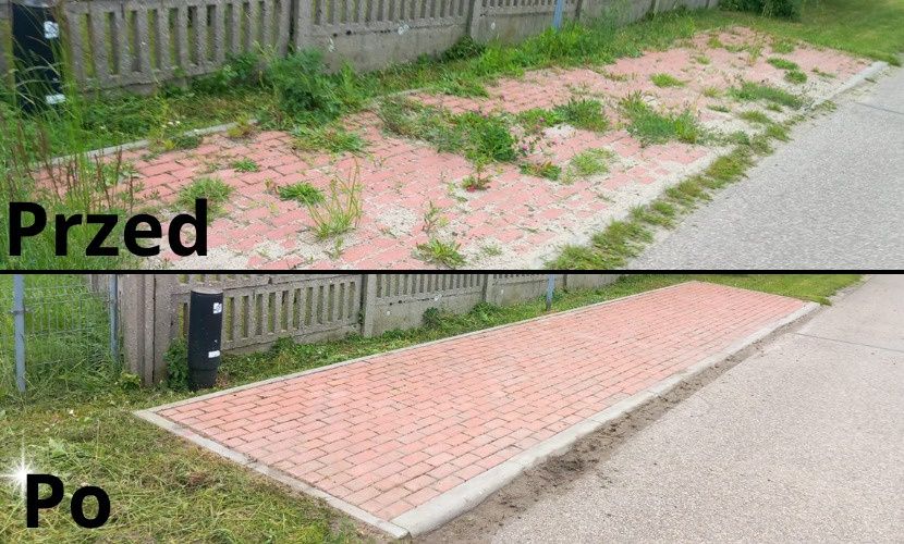 Wycinka drzew usługi rębakiem koszenie czyszczenie kostki