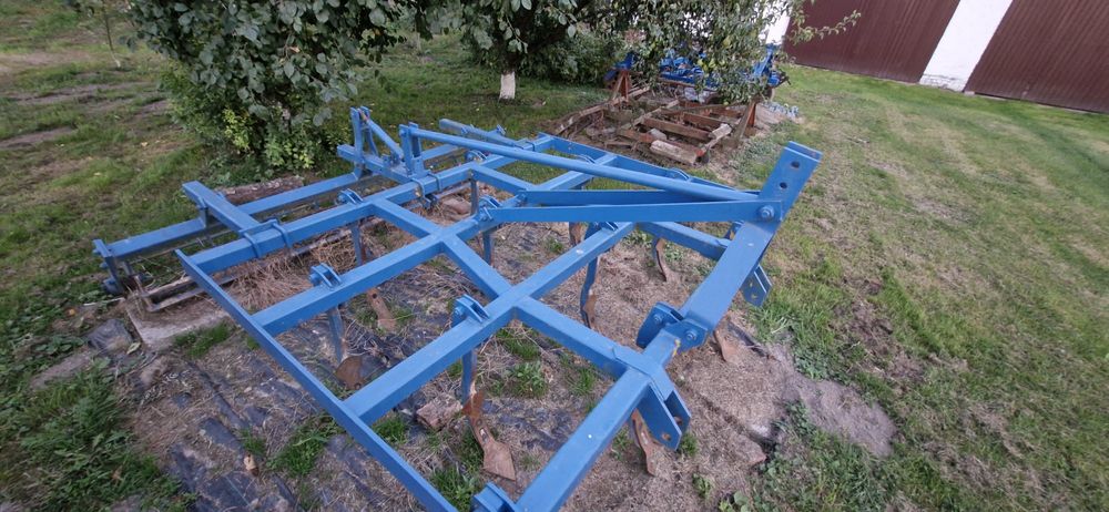 Gruber 11 zębów.
