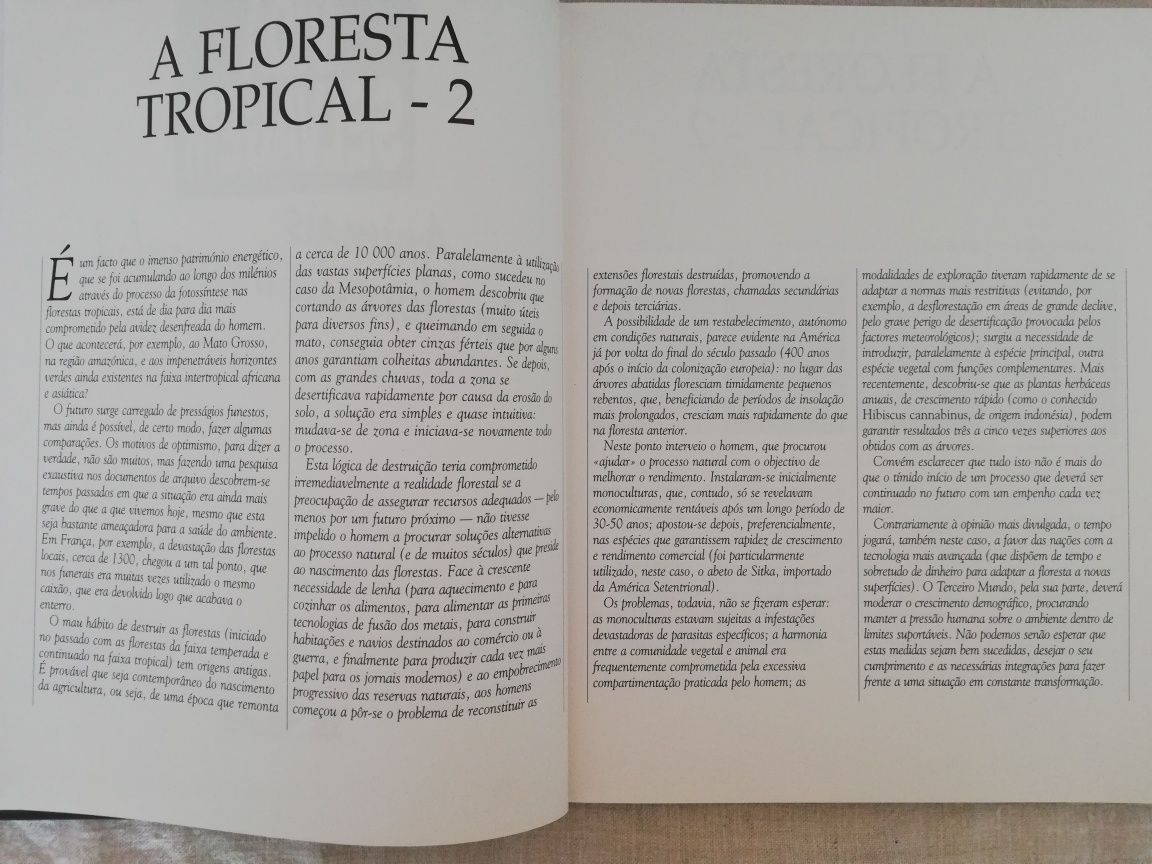 Livros "Animais da Floresta Tropical 1 e 2", Coleção Vida Selvagem