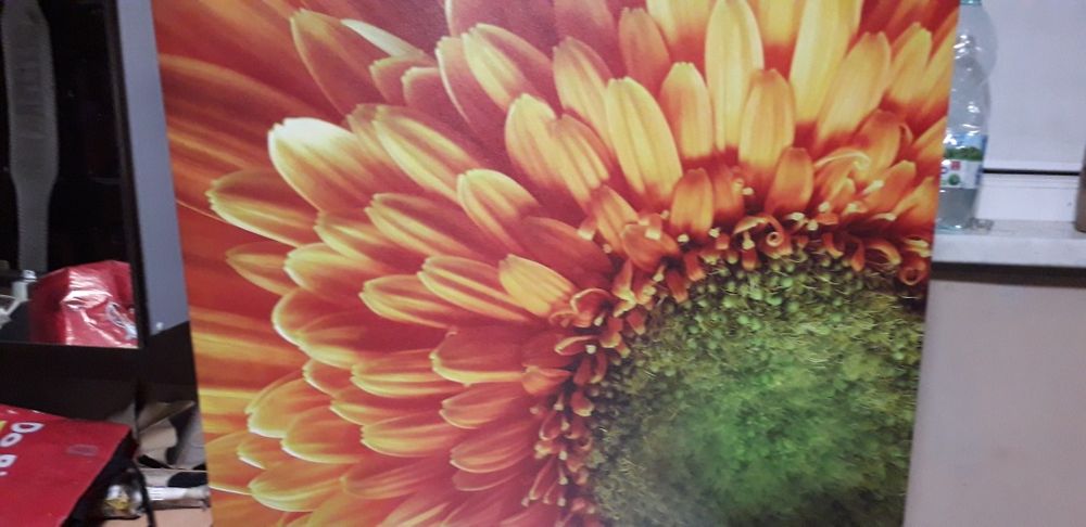 Obraz olejny słonecznik