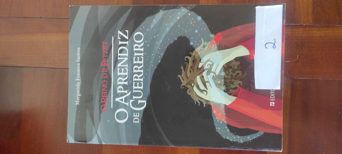 O aprendiz de guerreiro