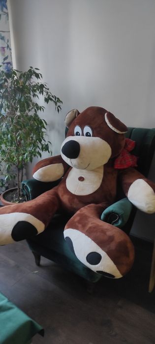 Miś gigant na prezent maskotka
