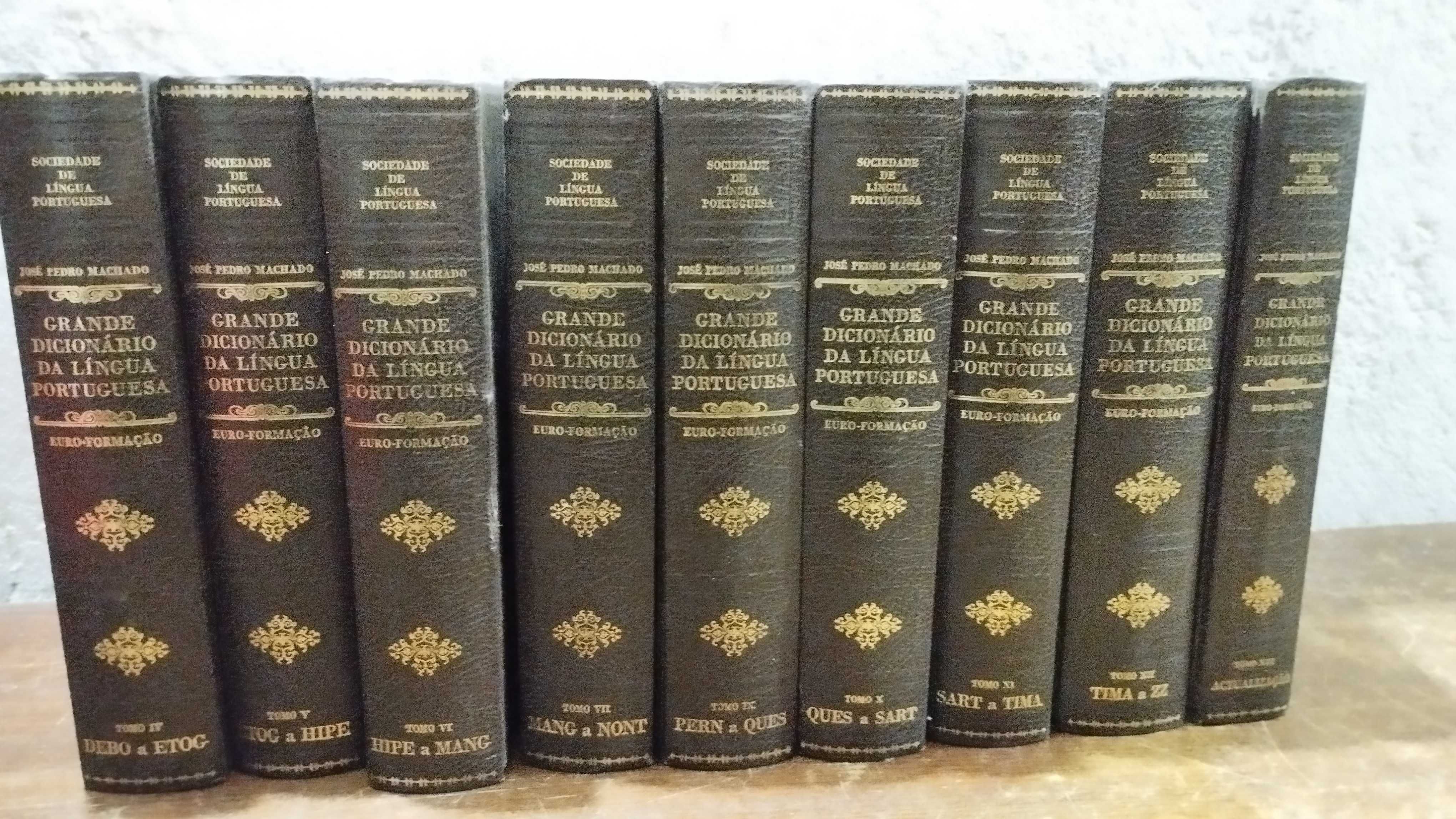 Grande Dicionário da Língua Portuguesa